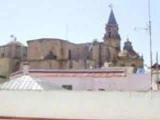 Nuevo