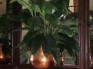 Nuevo Jerez de la Frontera